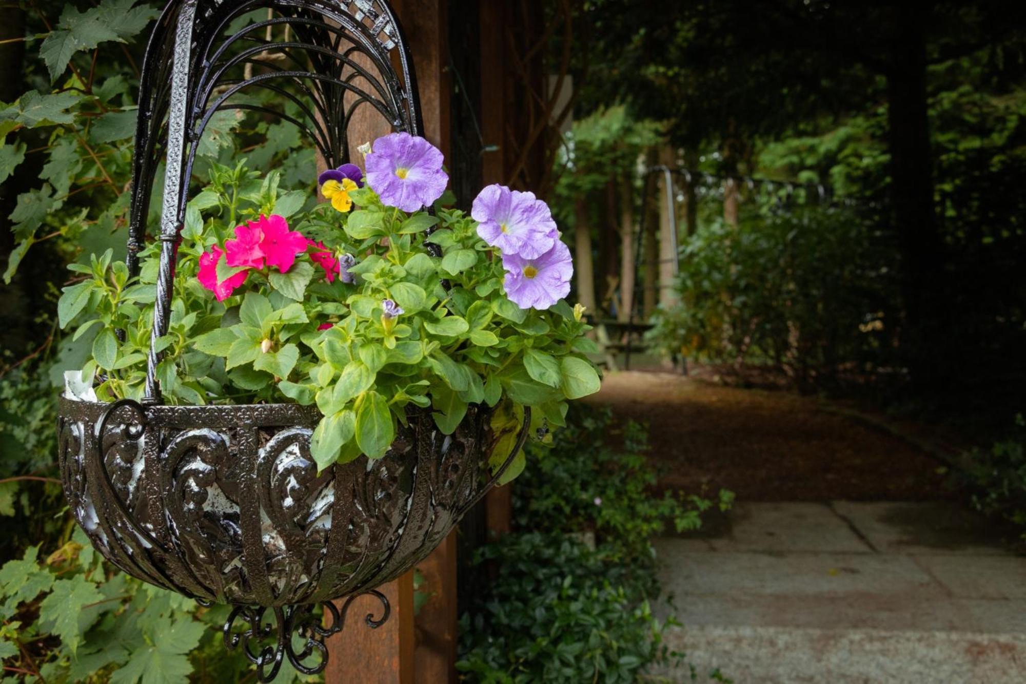 Croneybyrne Courtyard Clara